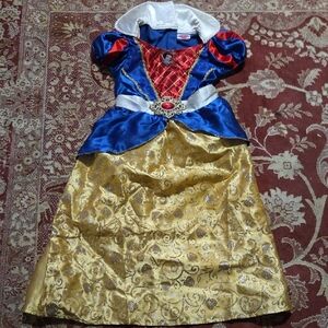 Disney Royal Princess Costume in Blue, Red, and Gold